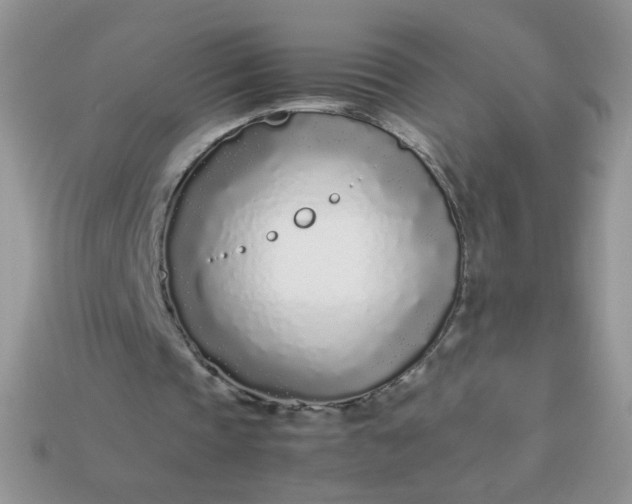 X0000113030337200909101902