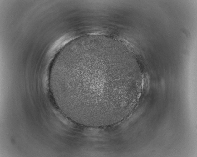 X0000113030339200909101902