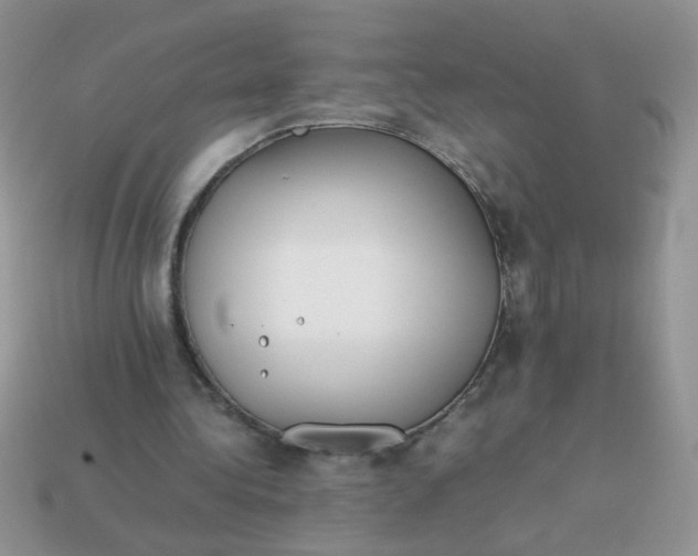 X0000113030340200909101902