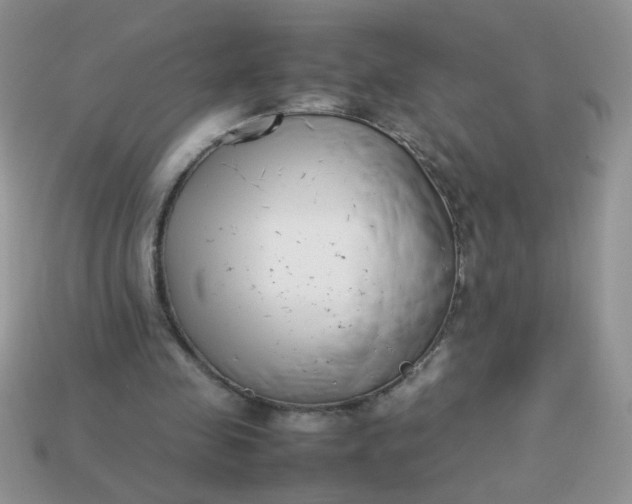 X0000113030341200909101902