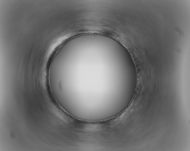 X0000113030342200909101902