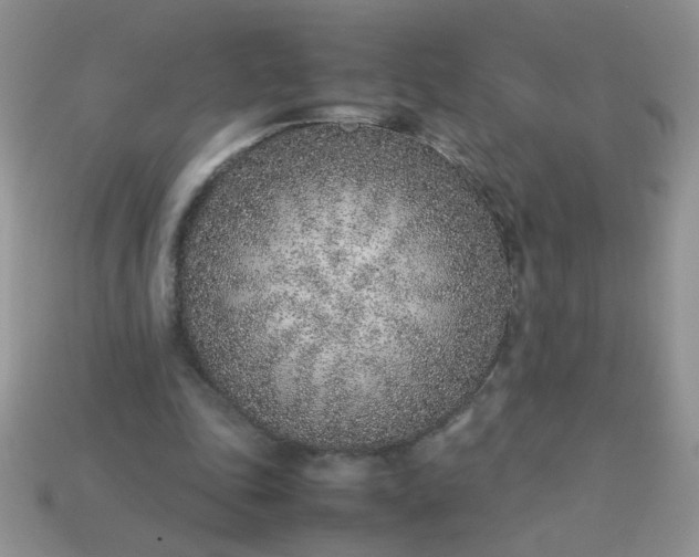 X0000113030343200909101902