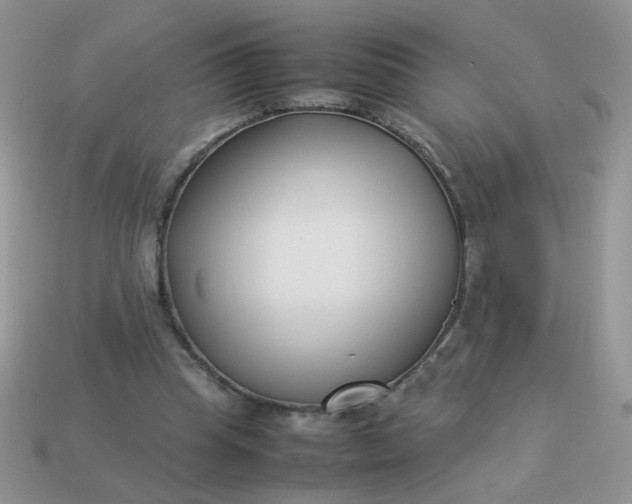 X0000113030345200909101902