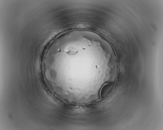 X0000113030347200909101902