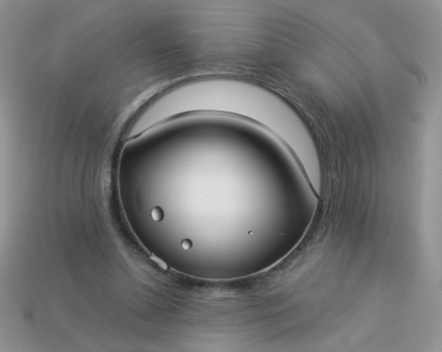 X0000113030348200909101902