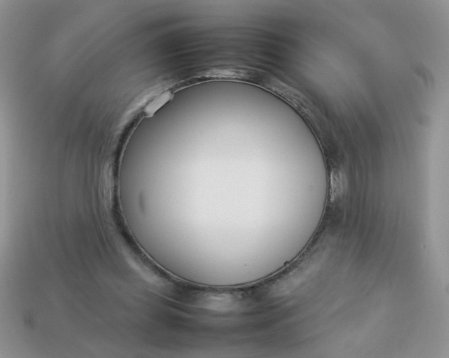 X0000113030349200909101902