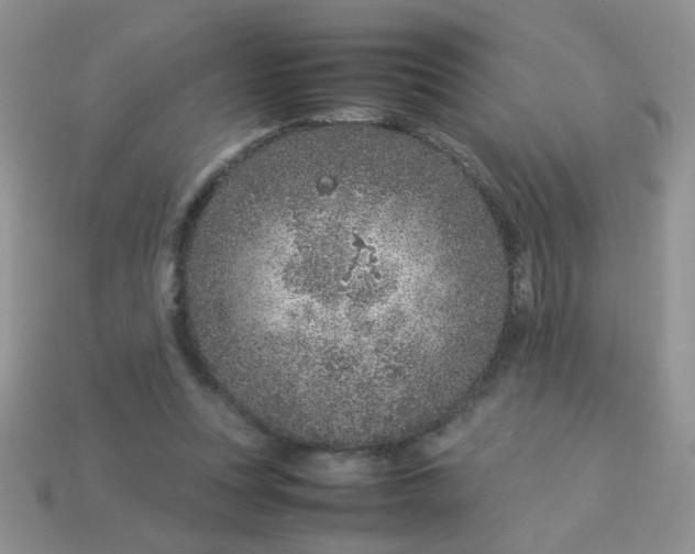 X0000113030351200909101902