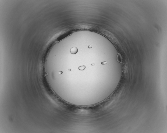 X0000113030352200909101902