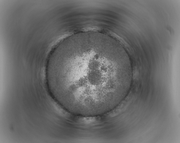 X0000113030353200909101902