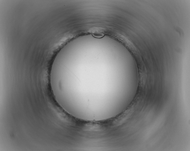 X0000113030354200909101902