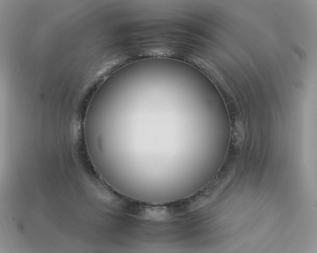 X0000113030355200909101902