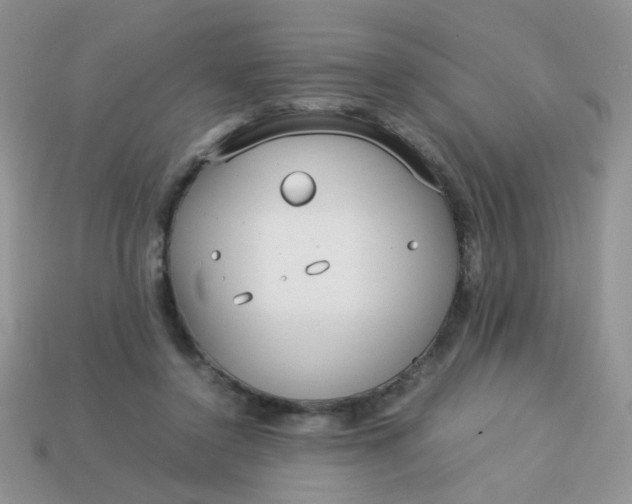 X0000113030356200909101902