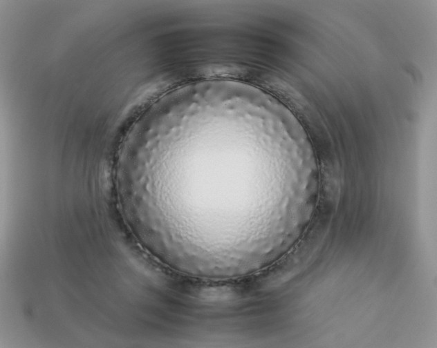 X0000113030357200909101902