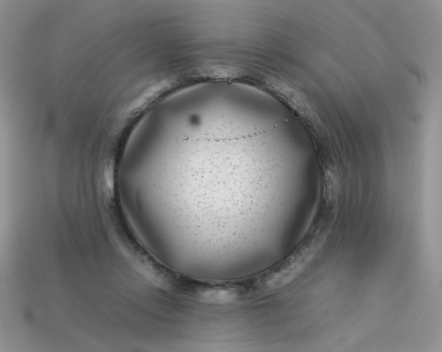 X0000113030358200909101902