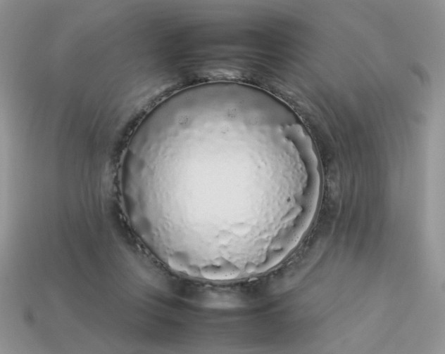 X0000113030359200909101902