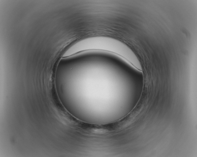 X0000113030360200909101902