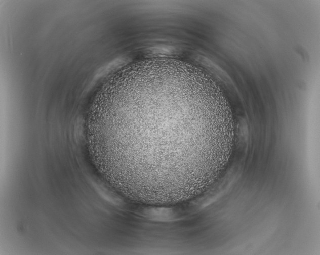 X0000113030361200909101902