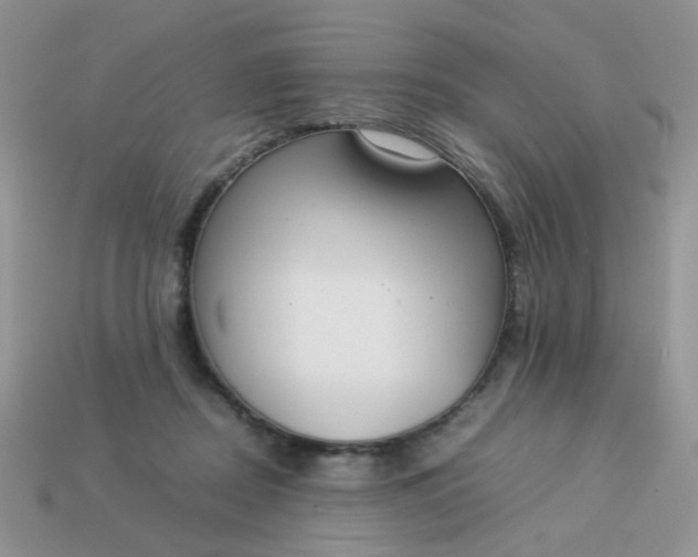 X0000113030362200909101902