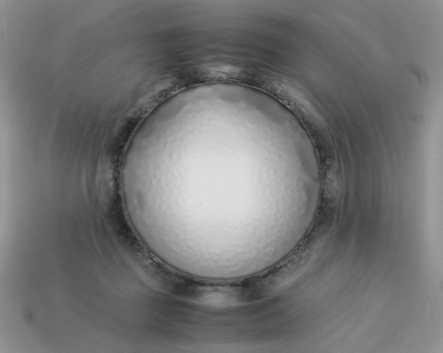 X0000113030363200909101902