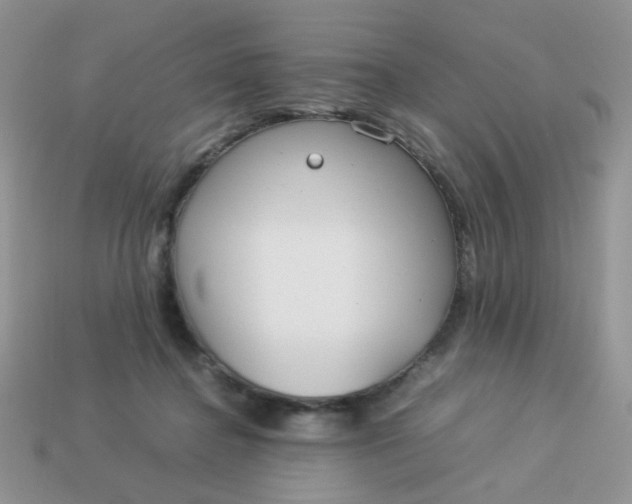 X0000113030364200909101902