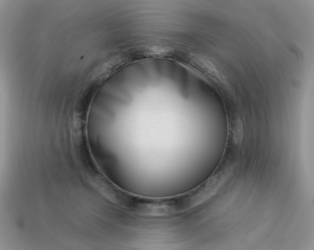 X0000113030366200909101902