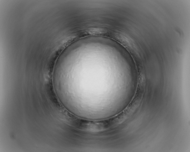 X0000113030367200909101902