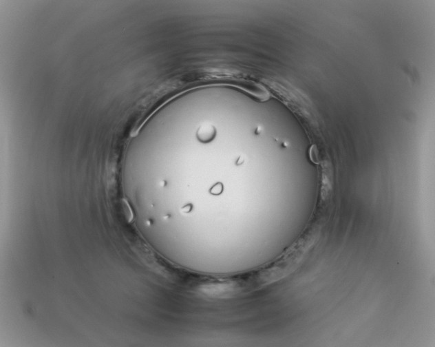 X0000113030369200909101902