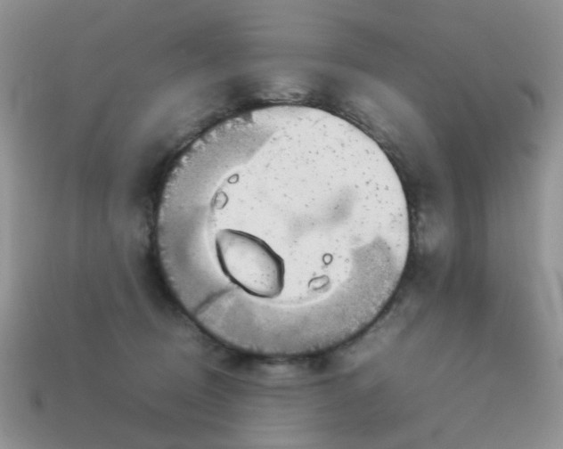 X0000113030370200909101902