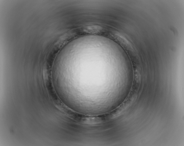 X0000113030371200909101902