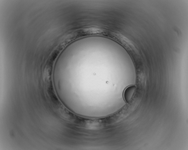 X0000113030373200909101902