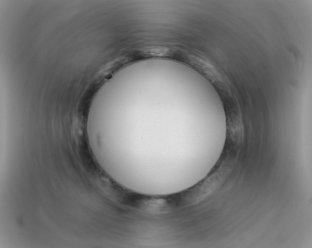 X0000113030374200909101902