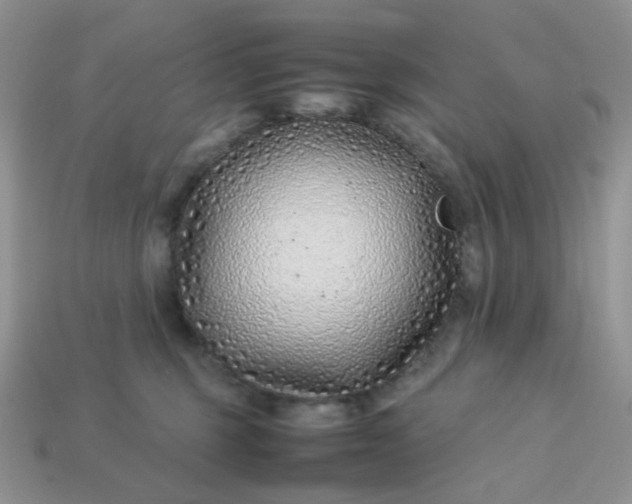 X0000113030375200909101902