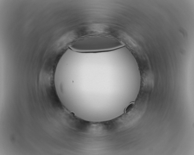 X0000113030376200909101902