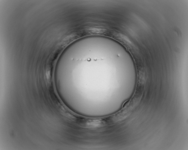 X0000113030377200909101902