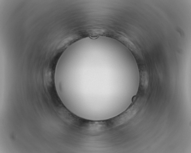 X0000113030378200909101902