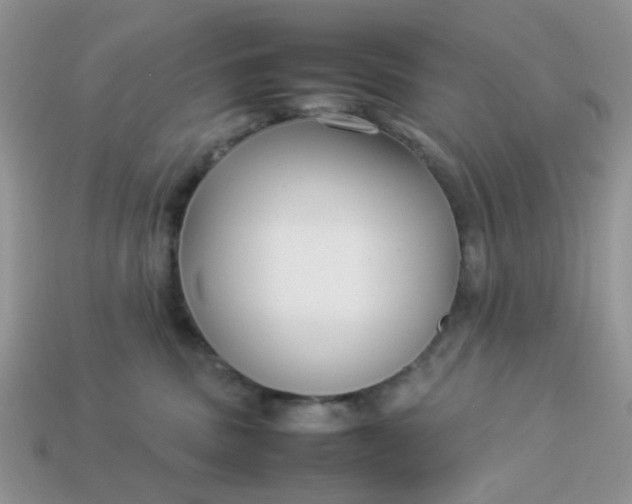 X0000113030379200909101903