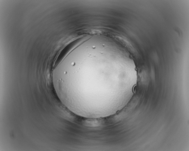 X0000113030381200909101903