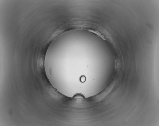 X0000113030382200909101903