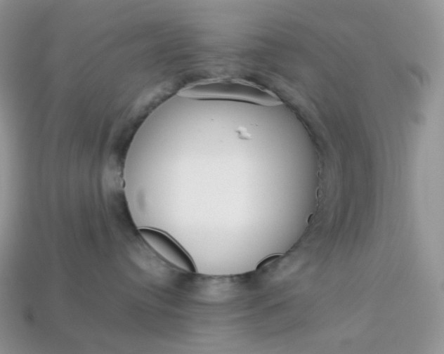 X0000113030384200909101903