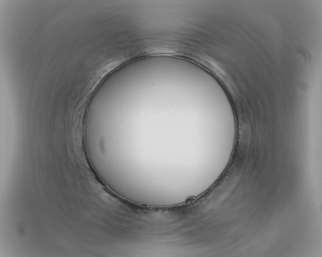 X0000113030385200909101902