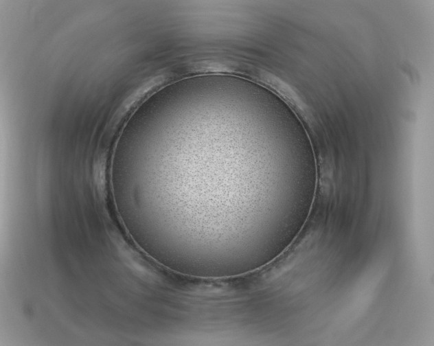 X0000113030386200909101902