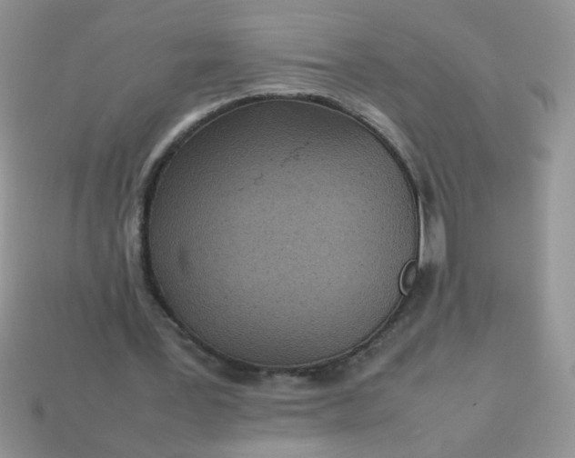 X0000113030387200909101902