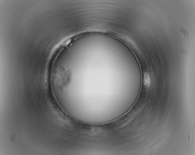 X0000113030388200909101902