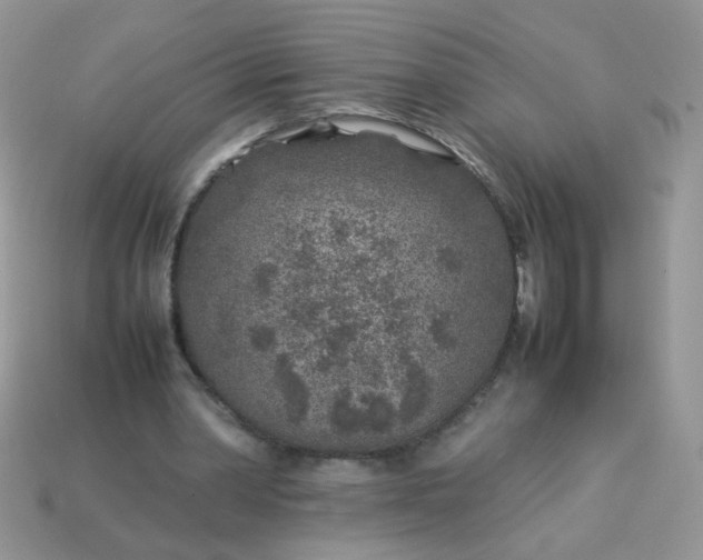 X0000113030390200909101902