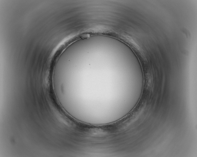 X0000113030392200909101902