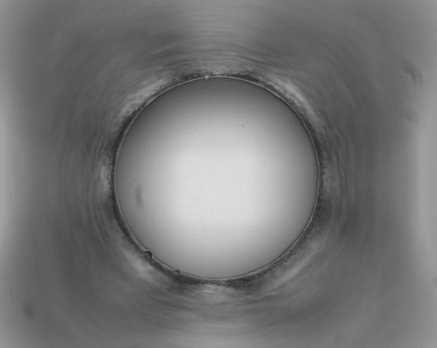 X0000113030393200909101902