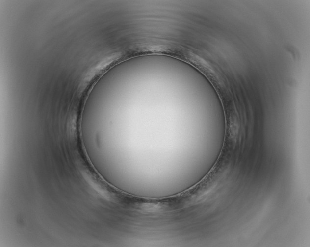 X0000113030394200909101902