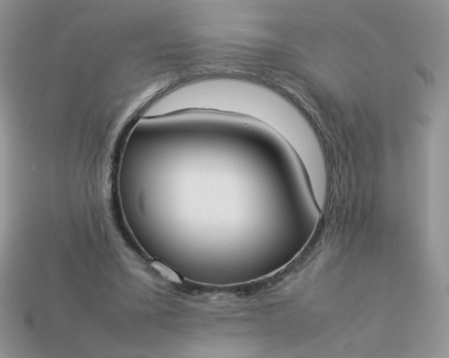 X0000113030395200909101902