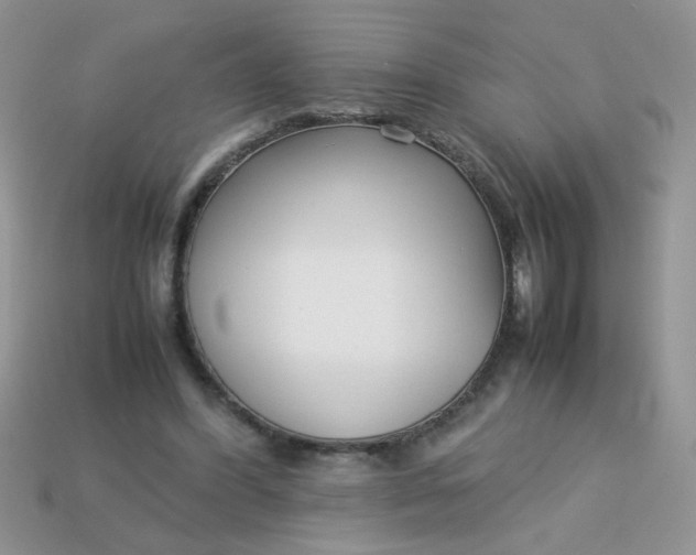 X0000113030396200909101902