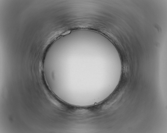 X0000113030397200909101902